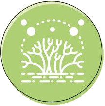 PlantEasy | Enclosed Live Moss