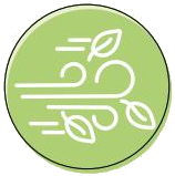 PlantEasy | Enhanced Air Quality