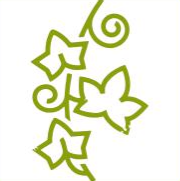 PlantEasy | Enhances Aesthetics