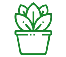 PlantEasy | Enjoy your thriving indoor oasis