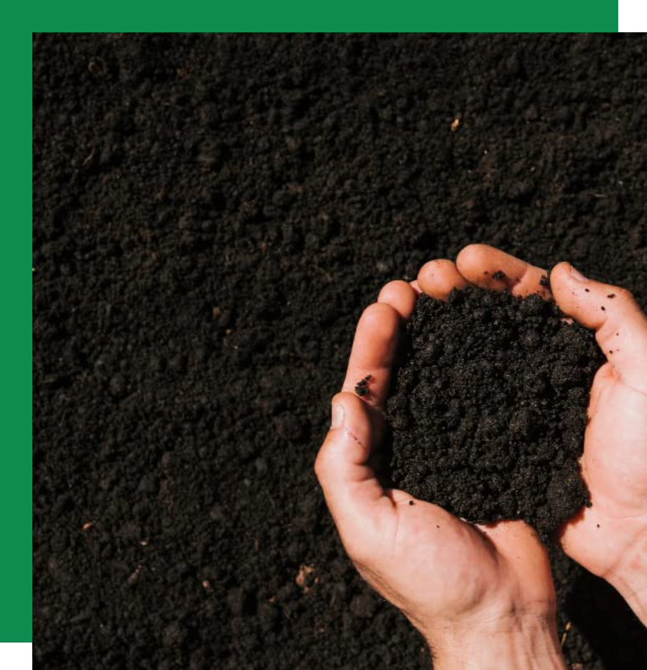 PlantEasy | Probiotic Potting Mix - For Indoor / Outdoor plants